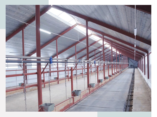 Строительство коровников в Старом Осколе от 607 руб.