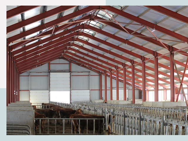 Строительство коровников в Старом Осколе