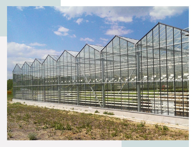 Строительство теплиц в Старый Оскол от 607 руб. за м²